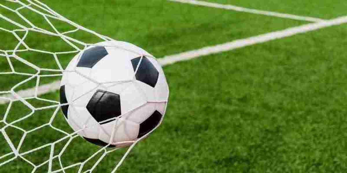 Revealing the Secret to Successfully Predicting Grass Football Matches for Novice Bettors