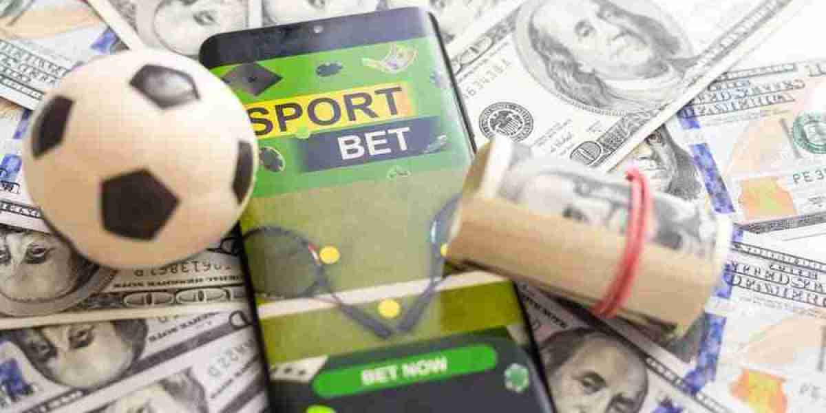 Discover the Thrills of Korean Sports Gambling Sites