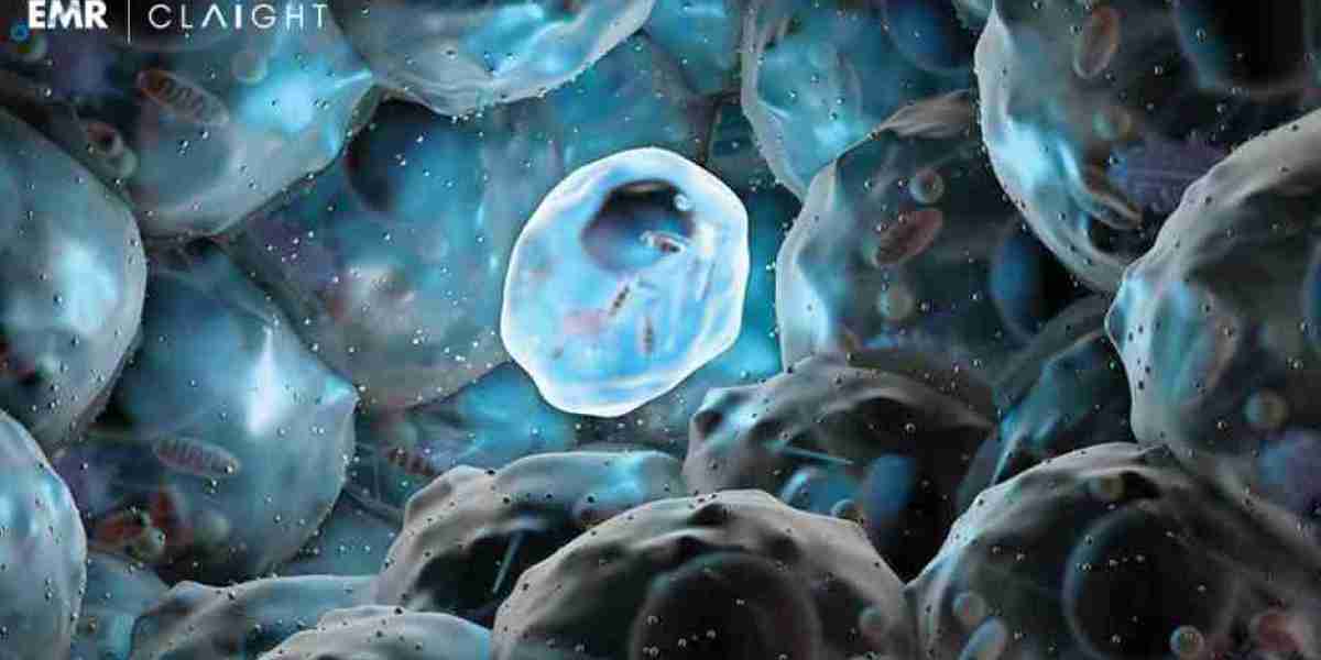 Global Human Embryonic Stem Cell Market Size, Share, Growth, Key Players, & Future Outlook | 2024-2032