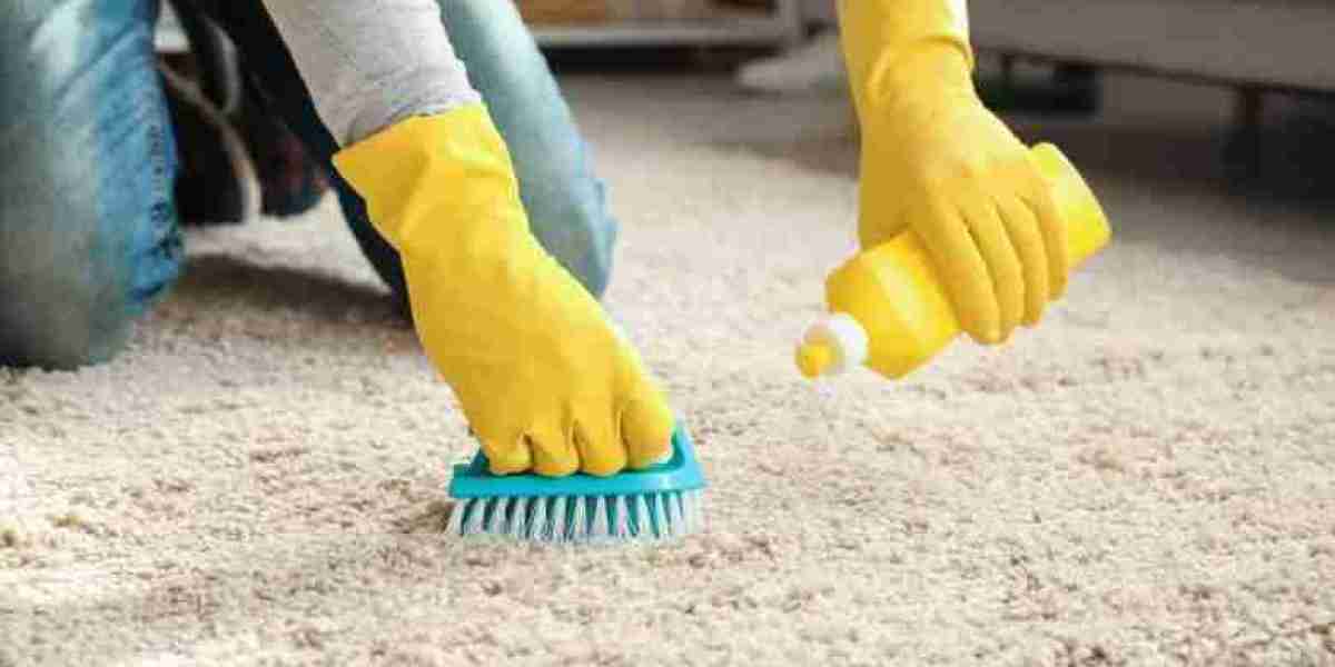 How Carpet Cleaning Can Boost Indoor Air Quality and Health