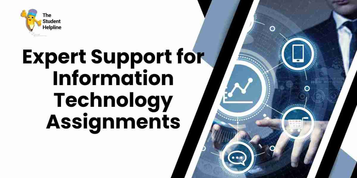 Expert Support for Information Technology Assignments