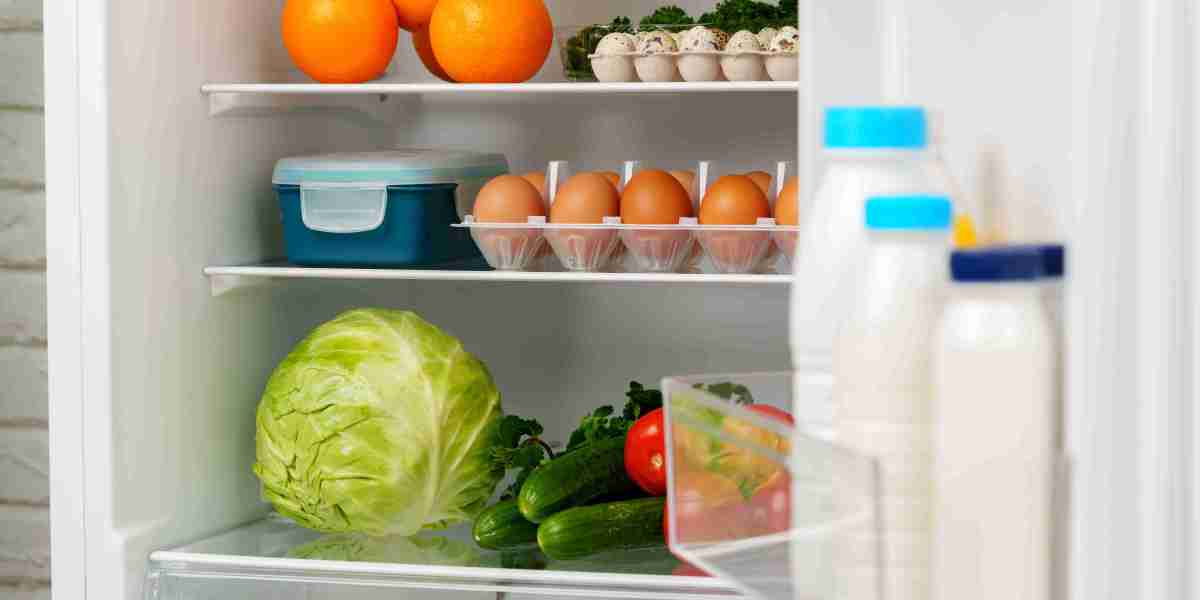 The Refrigerator and Freezer: Essential Appliances in Modern Kitchens