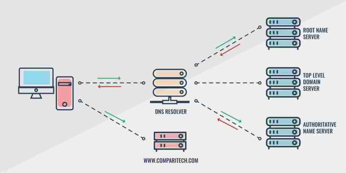 DNS: The Internet's Navigation Backbone Explained