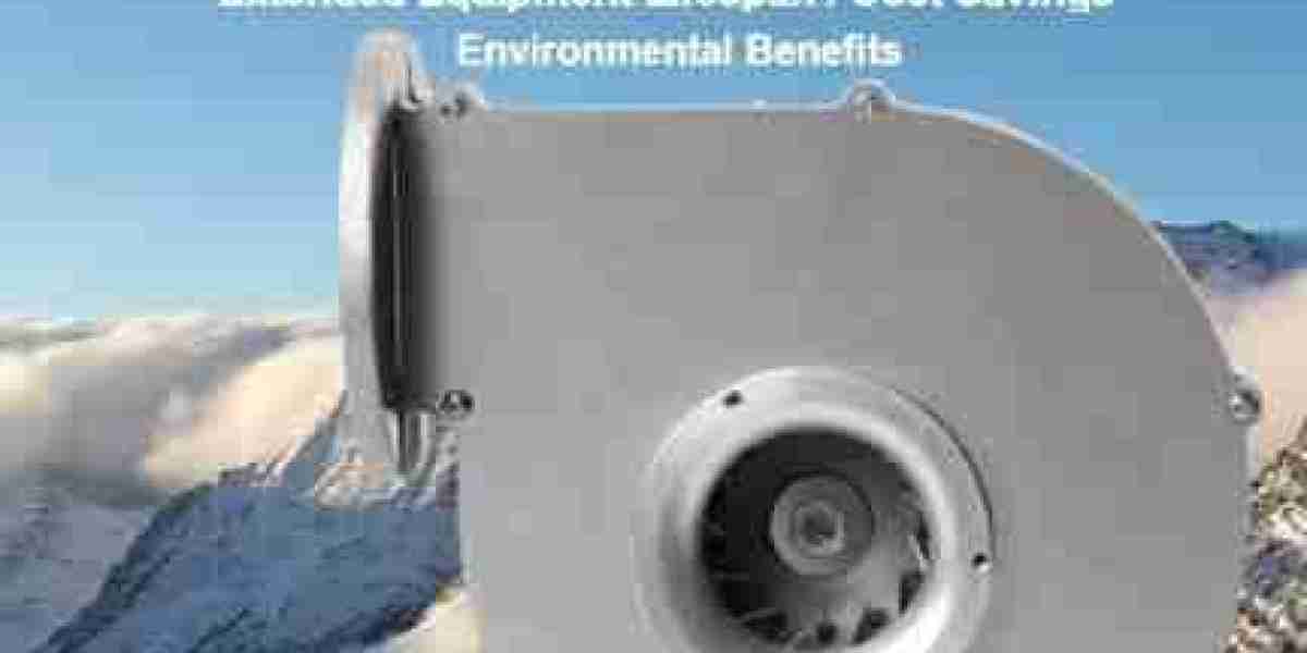 Improving Industrial Efficiency: Analysis of the Advantages of Large Flow Variable Speed Blowers