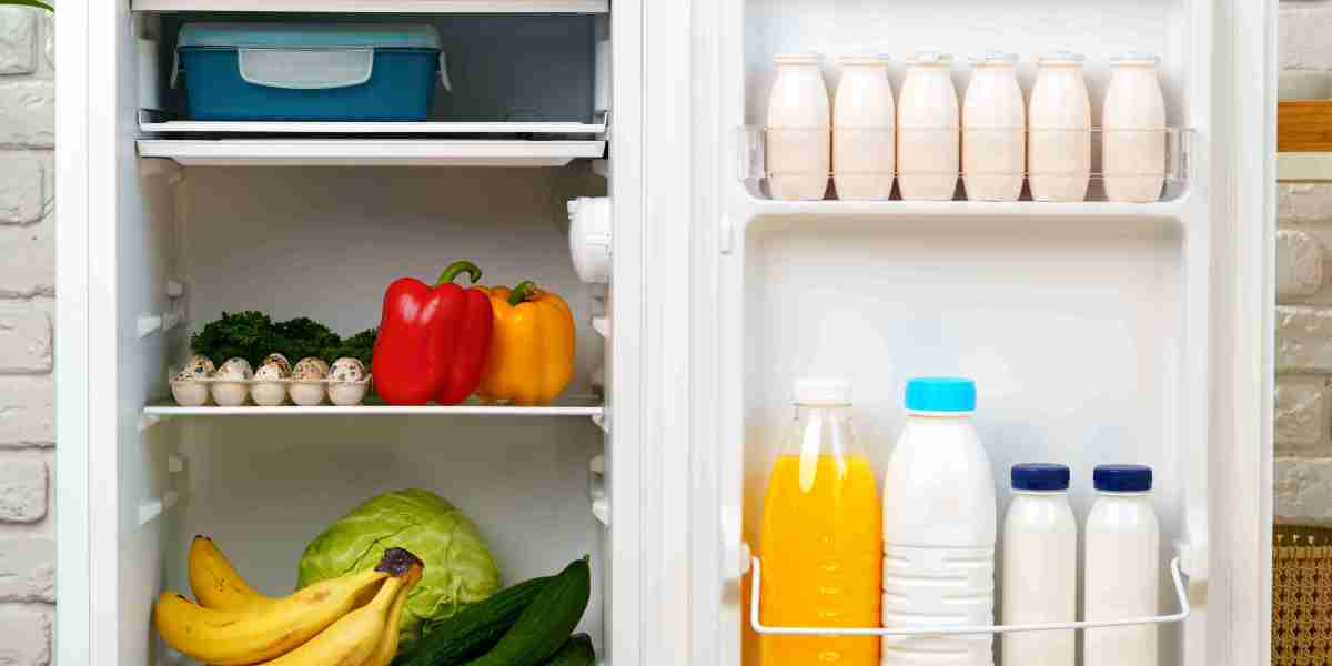 10 Best Books On Fridges And Freezers