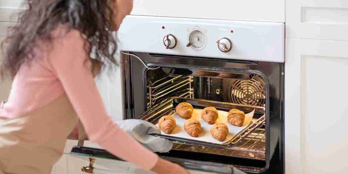 What Is It That Makes Integrated Electric Oven So Popular?