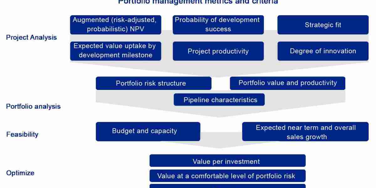 Portfolio Management as a Catalyst for Drug Development Success