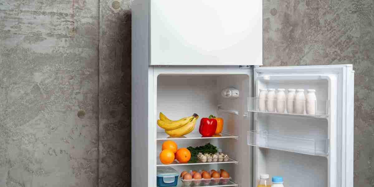 What's Holding Back In The Fridges For Sale Industry?