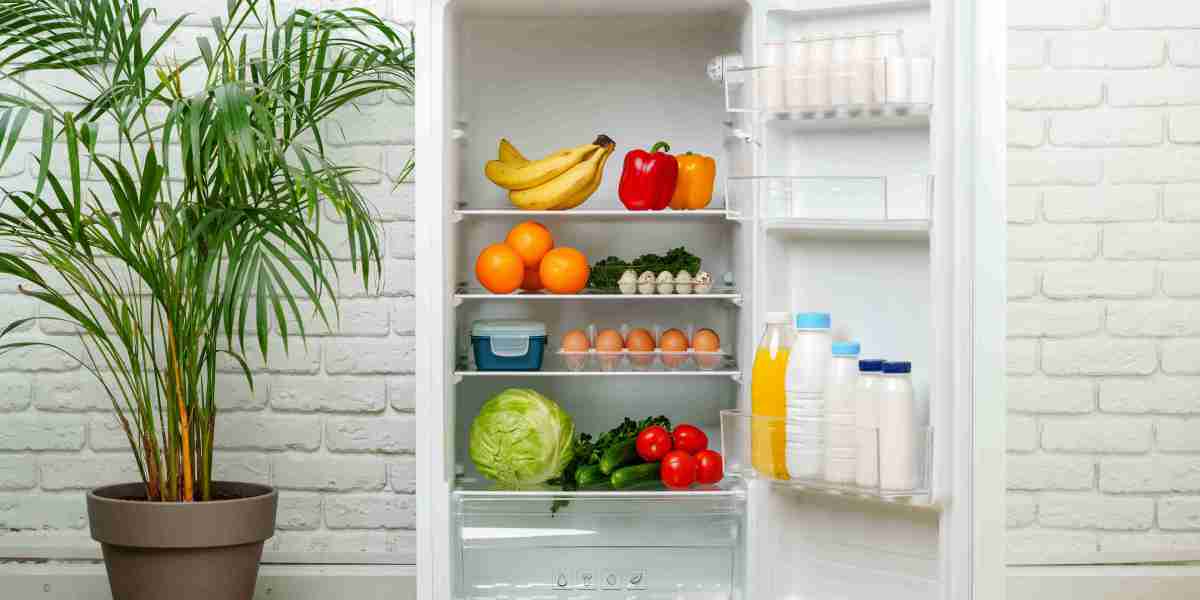 11 Creative Methods To Write About Fridges Online