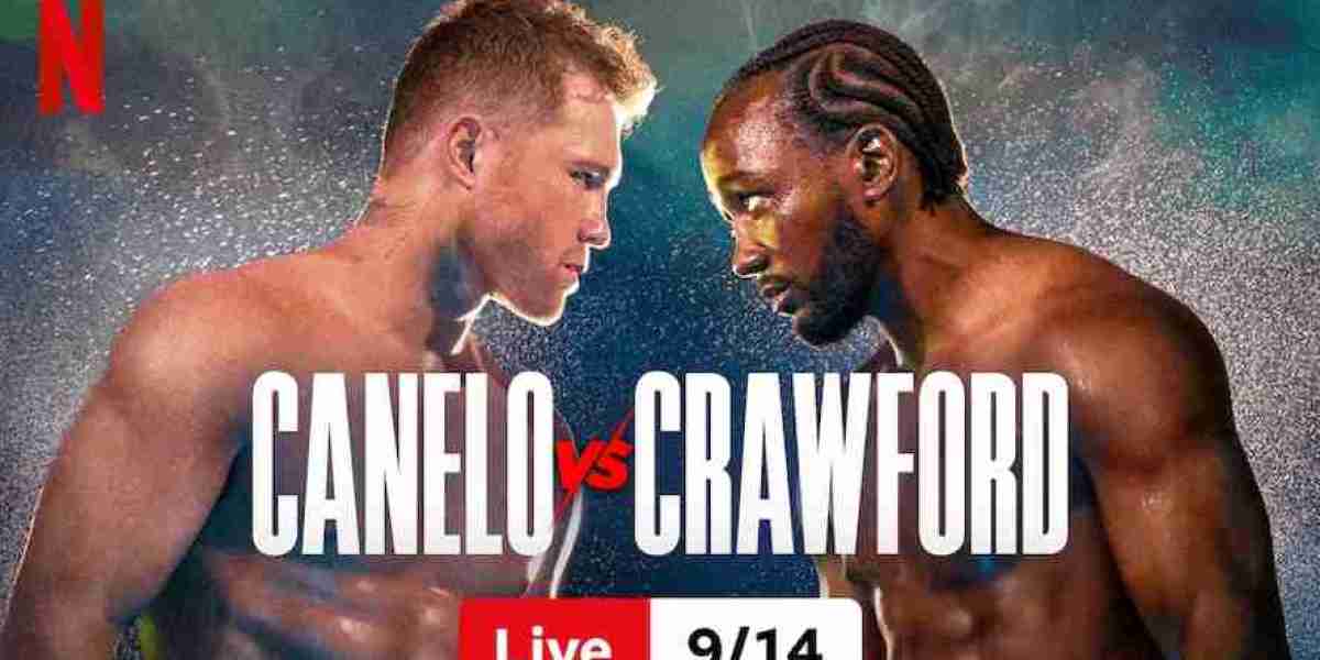 Boxing Showdown Countdown – Upcoming Fight Details