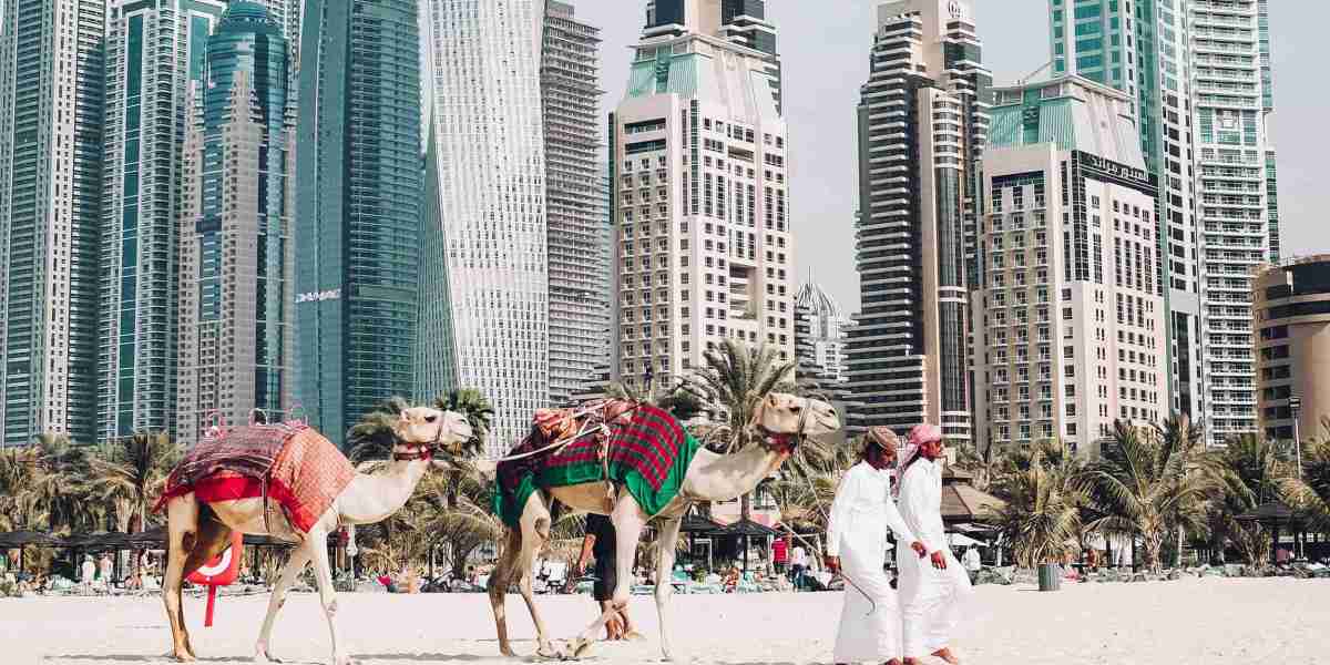 Affordable Dubai City Tour Options for Every Budget