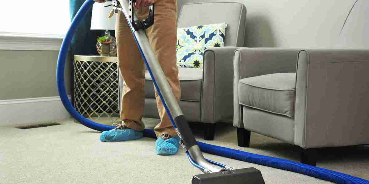 The Importance of Professional Carpet Cleaning: Reviving Your Home's Aesthetic and Health