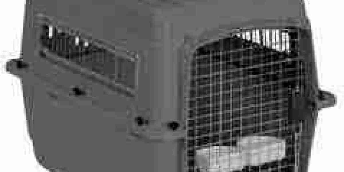 How Pawtechpet’s Pet Carriers Ensure Pet Safety?