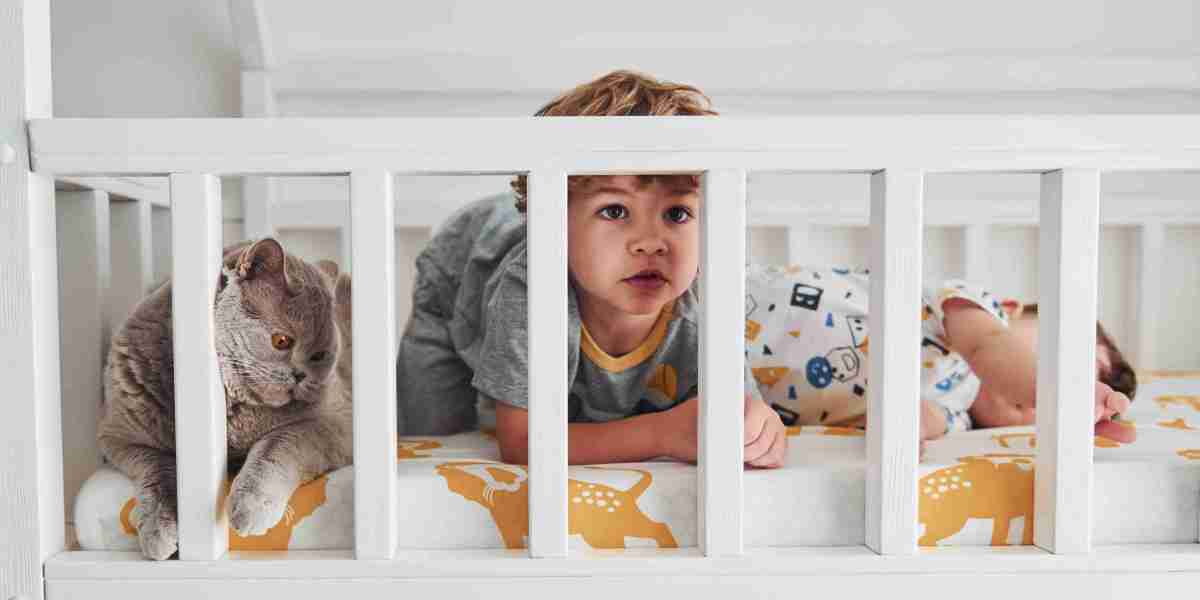 10 Amazing Graphics About Cots For Tots