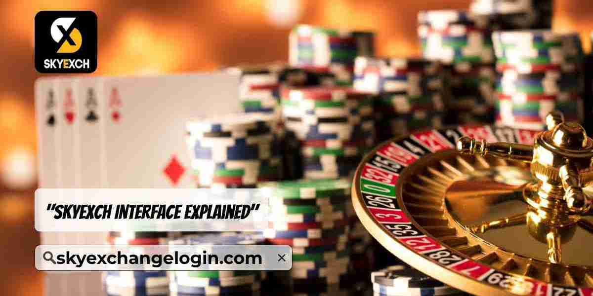 SkyExch Gaming Interface: A Beginner's Guide