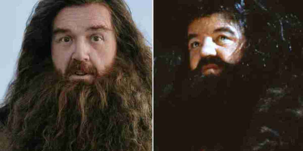 Harry Potter HBO Reboot: Chris Columbus Reacts