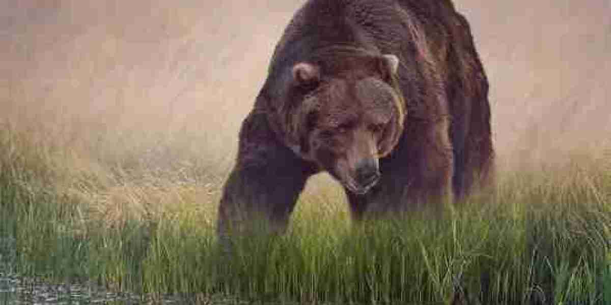 Enford Hotel Cheongju